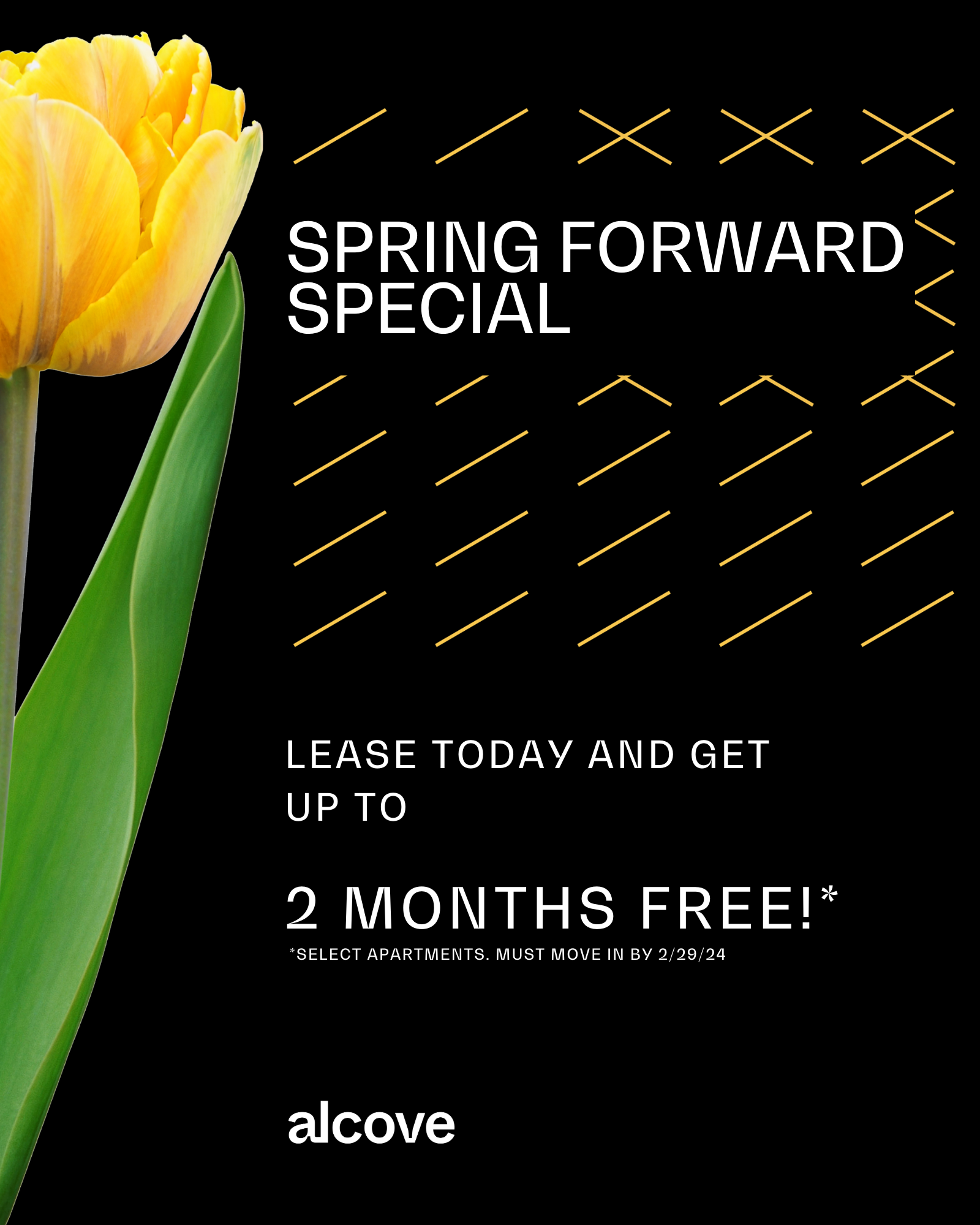 Spring Forward Special